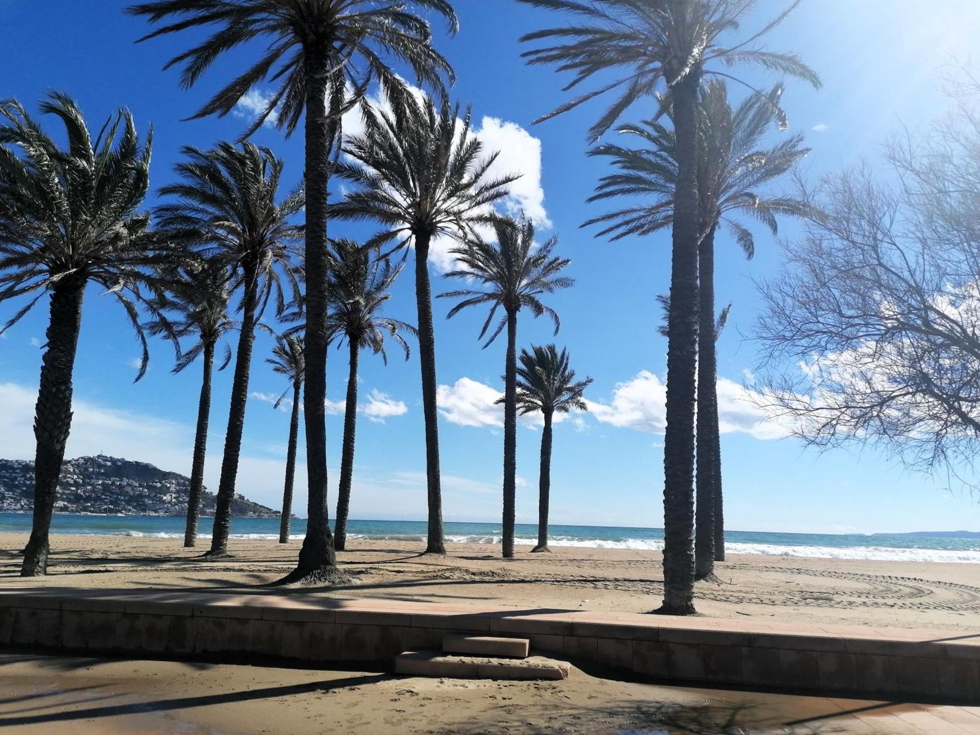 Global Immo 3356 Maritim Appartement *